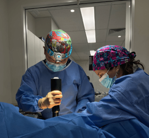 Understanding Cranial Cruciate Ligament Disease and TPLO Surgery in Dogs Understanding Cranial Cruciate Ligament Disease and TPLO Surgery in Dogs